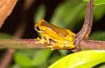 Peru_509