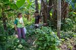 Peru_532