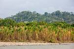 Peru_538