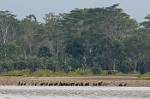 Peru_539
