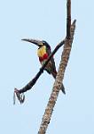 Peru_548