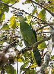 Peru_577