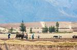 Peru_721