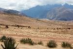 Peru_727