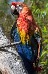 Peru_741