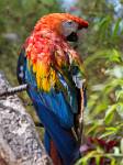 Peru_745