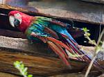 Peru_746