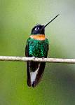 Peru_831