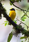 Peru_836
