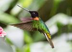 Peru_872