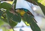 Zambia_010