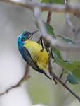 Zambia_011