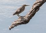 Zambia_022