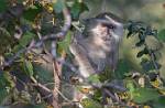 Zambia_026