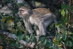Zambia_027