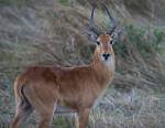 Zambia_030