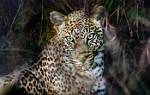 Zambia_041