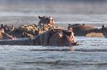 Zambia_051