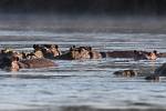 Zambia_052