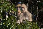 Zambia_056