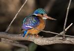 Zambia_062