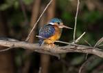 Zambia_063