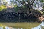 Zambia_065