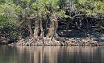Zambia_066