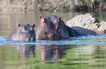Zambia_067