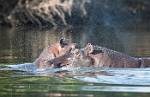 Zambia_068