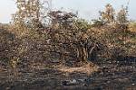 Zambia_078