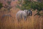 Zambia_084