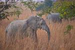Zambia_085