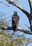 Zambia_094