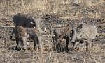 Zambia_095