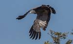 Zambia_107