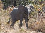 Zambia_111