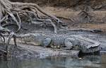 Zambia_114