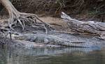 Zambia_115