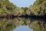 Zambia_116