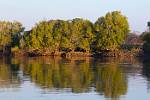 Zambia_118