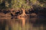 Zambia_119