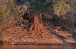 Zambia_120