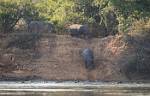 Zambia_121