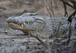Zambia_124