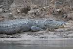 Zambia_125