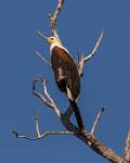 Zambia_130