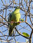 Zambia_135