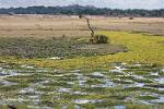 Zambia_143