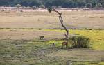 Zambia_144